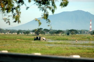 CAMPO-00 (2)  GANADO